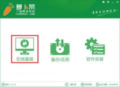 在线重装系统软件 好用的萝卜菜一键重装系统工具