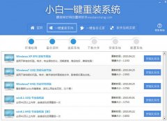 小白一键重装系统win7软件哪家强