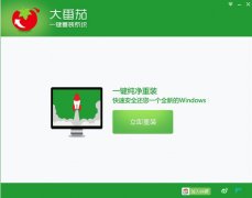 电脑xp在线重装系统用什么软件好