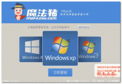 魔法猪一键重装系统win7详细步骤