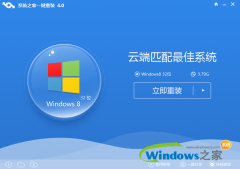 系统之家一键重装系统win10后为什么不能关闭的后台服务