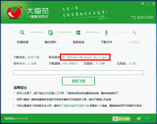 大番茄怎么用之前下载的镜像装win7系统