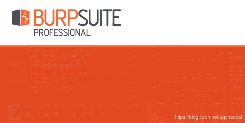 burpsuite pro