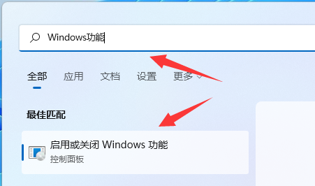 win11hyper-v怎么打开 win11hyper-v打开方法教程