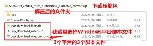 使用UUP下载Windows11 iso镜像保姆级图文教程