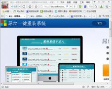 屌丝一键重装系统win7如何批量复制网页地址