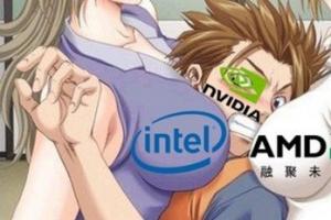 Intel/Nvidia侧面 事实证明玩游戏A卡更强