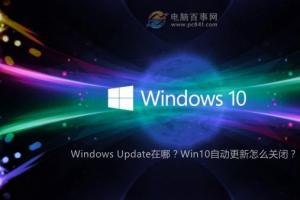 Windows Update在哪？Win10自动更新怎么关闭？