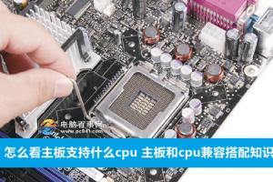 怎么看主板支持什么cpu 主板和cpu兼容搭配知识