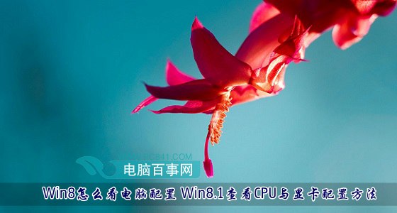 Win8怎么看电脑配置 Win8.1查看CPU与显卡配置方法