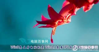 Win8怎么看电脑配置 Win8.1查看CPU与显卡配置方法